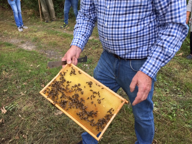 Imker Geisthvel mit seinen Bienen